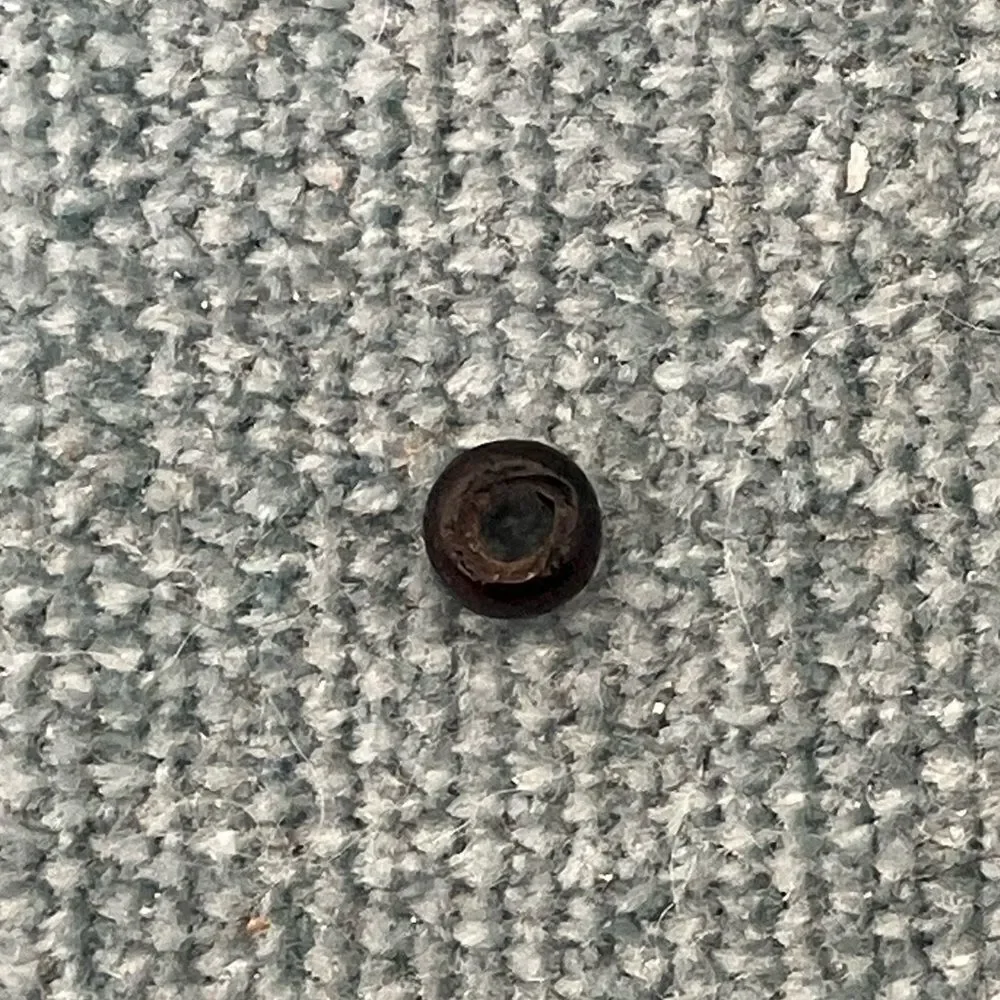 Bead